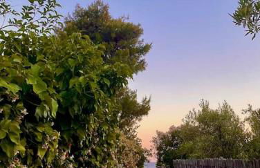 La casa sul blu Acciaroli Casa Vacanze - Foto 12