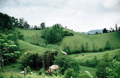 Magical Marshall Accommodation Ideal for a Peaceful Getaway in North Carolina - Foto 18