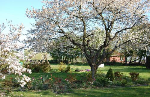Gemütliche Ferienwohnung unterm Reetdach - Foto 26
