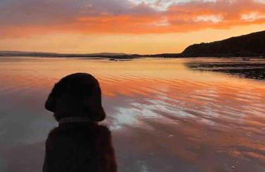 Maison village, 10 pers, proche de la plage - Foto 50