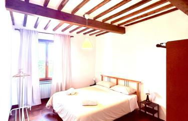 Ciliegia di Lari - Belvedere - Foto 21