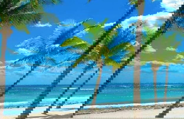 Mariposa Apartments - Foto 1