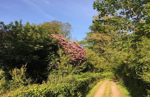 Tranquil getaway near Brecon Beacons - Photo 14
