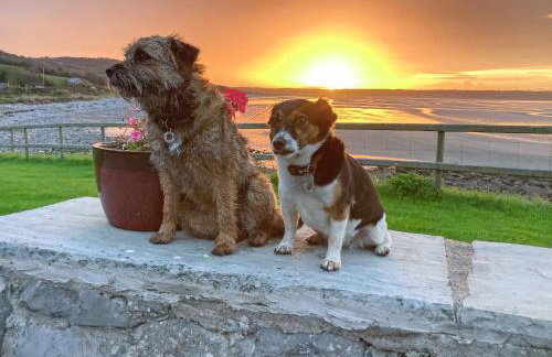 The Pigsty Cottage E2783 - Foto 15