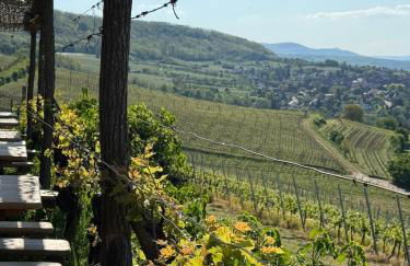 Charmant studio dans le vignoble proche Strasbourg - Foto 21