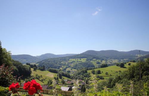 Maison familiale à Orbey, 3 chambres, parking privé, espace vert, jeux pour enfants - FR-1-744-26 - Foto 6
