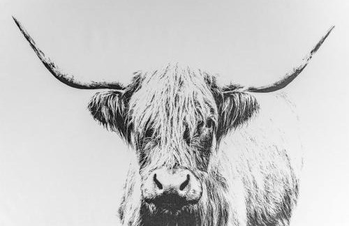 amazing apartments - Cables Wynd near The Shore - Free Parking - Foto 11