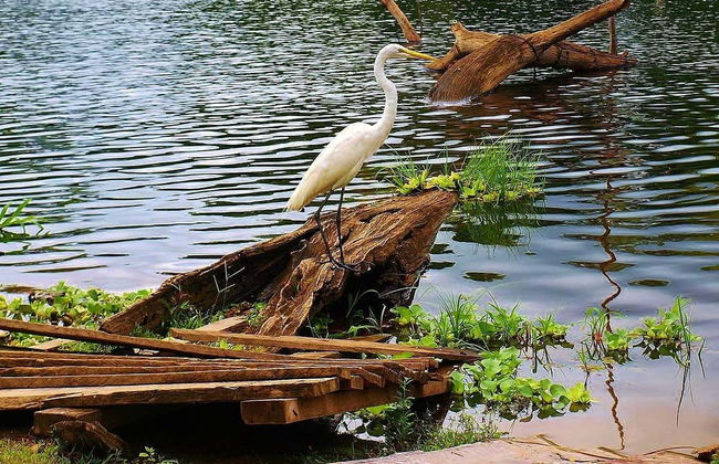 Escursione di 2 giorni alla Reserva Naturale Marasha - Foto 6