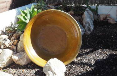 carpe Diem - Foto 28