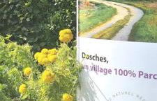 La Maison des Délices - Foto 28