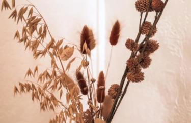 Appartement dans haut de villa - Foto 22