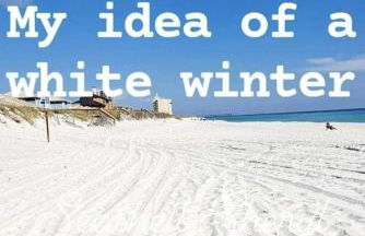 Duquesa 5210 Beach Side Paradise - Photo 41