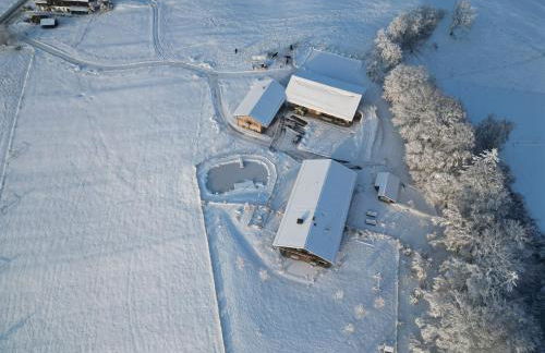 Hof Kaltenbrunn - Foto 4