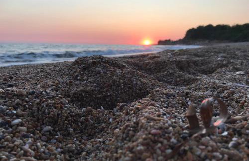 RIQIONIAN House - Foto 28