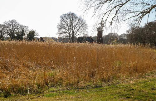 Wayford Mill - Photo 49