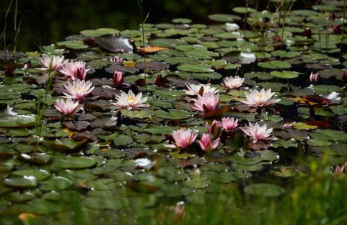 Weingut Stuck - Foto 23