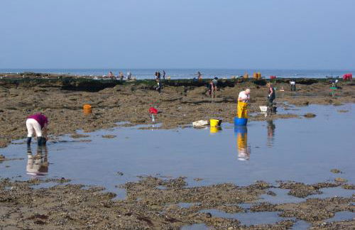 Petite Opale - Foto 32