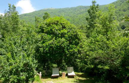 Borgata Castello - Foto 23