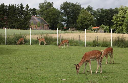 Gäste und Ferienhof Maas - Foto 9