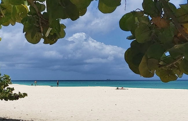 Sasaki Apartments - Foto 65