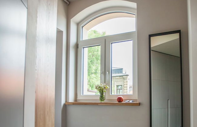 Penthouse in the City Center - Photo 9