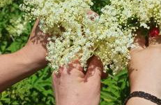 Gandelinka Park Kędrzyno - Foto 18