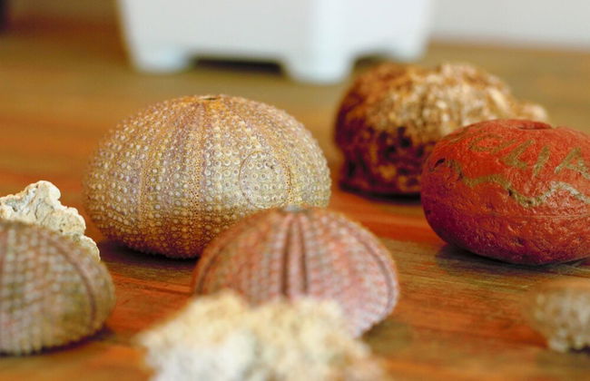 Villa Beatrice 25 in Siracusa - Foto 31