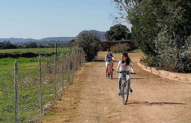 Cortijo Vizconde - Photo 38