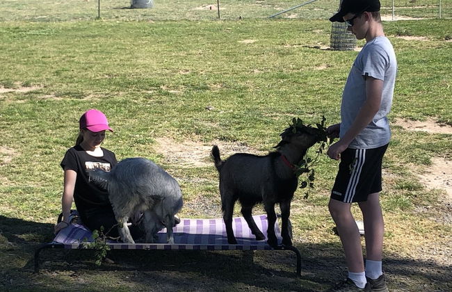 High Country Trail Rides & Farm Stay - Foto 21