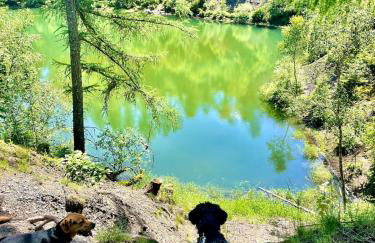 Barrierefreies Altstadtappartement in Osterode - Foto 12