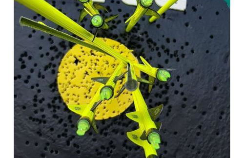 Uitzicht op de Pellenz - Foto 11