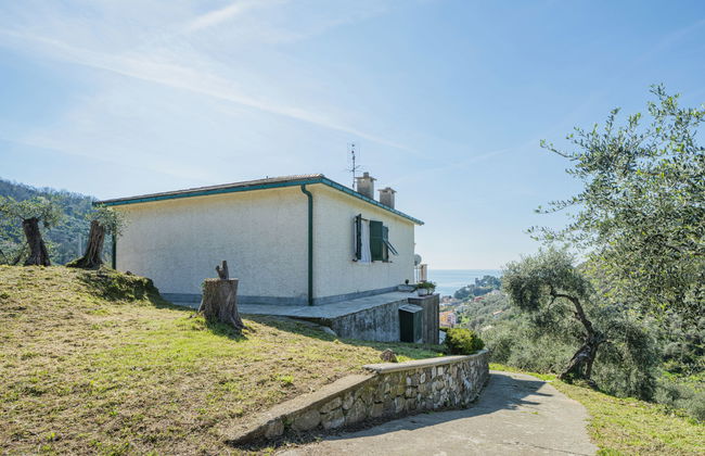 Sorvegallo - Foto 30