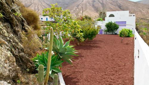 Villa Tranquila - Photo 5, Garden