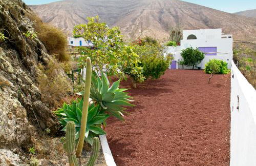 Villa Tranquila - Photo 5