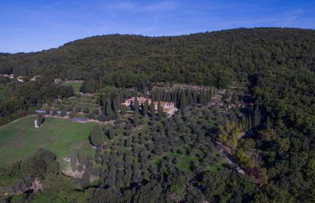 Tenuta La Bandita - Foto 19