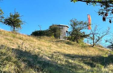 Rheinauszeit - Foto 35