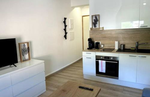 Studio rénové centre-ville de Lagnieu / WIFI - Foto 12