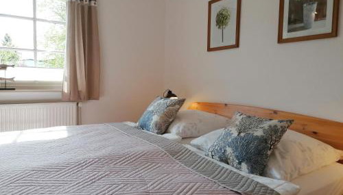 Boddenhus auf Rügen - Ferienwohnungen und Pension - Foto 3