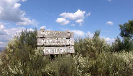 Casa da Fonte de Travanca - Foto 4