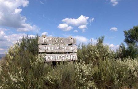 Casa da Fonte de Travanca - Foto 4