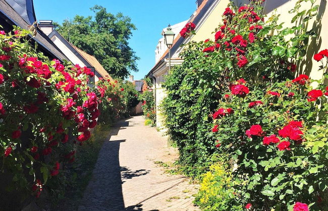 4 Person Holiday Home in Slite - Foto 27