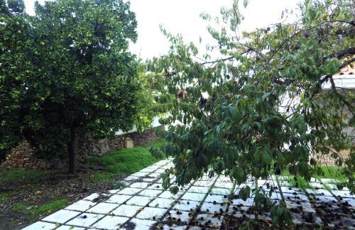 Casa de Nossa Senhora da Conceição - Foto 40