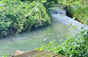 le chant de la rivière - Foto 29