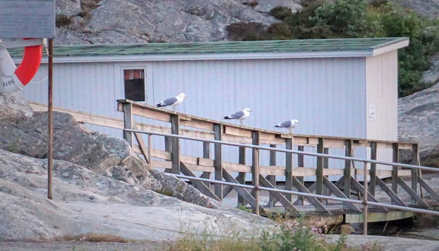 4 Person Holiday Home in Smogen - Foto 5, Verschiedenes