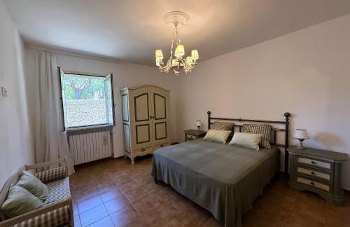 La Serenella - Foto 18