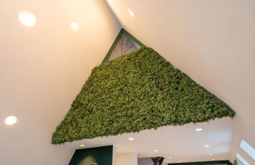 Alva - Rhön Panorama Ferienhaus - Foto 13