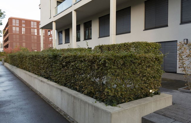 Villa Doria - Photo 47