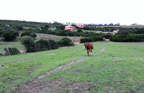 Country House Vignola Mare - Photo 65