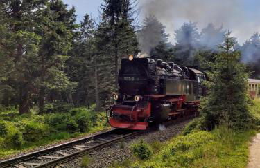 Studio Seeblick - Foto 17