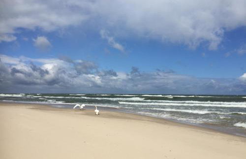 La Petite France - Foto 62